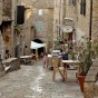 Casale